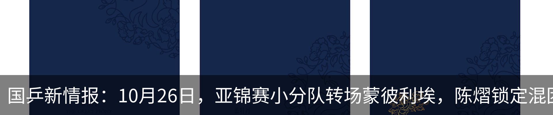 最新动态