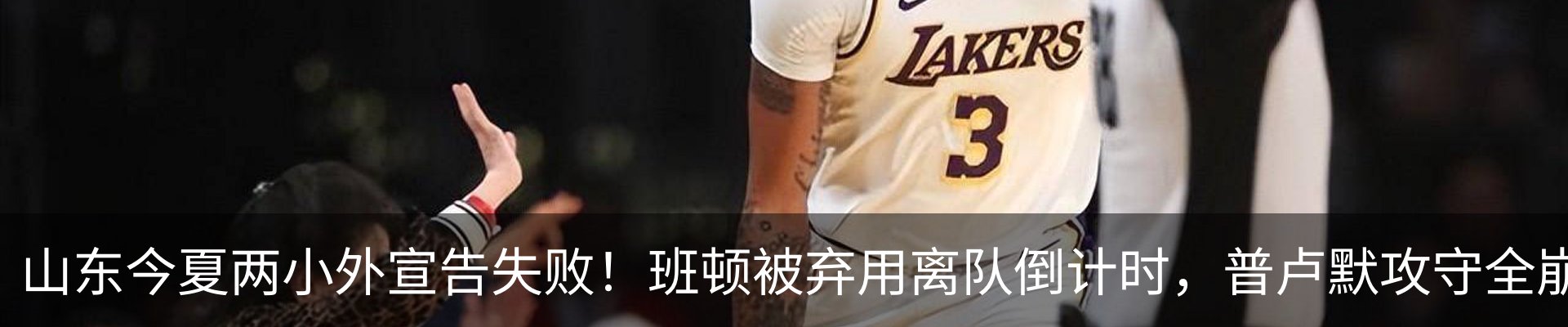 最新动态