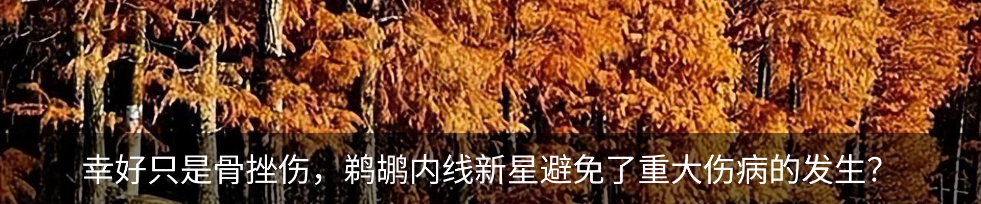 最新动态
