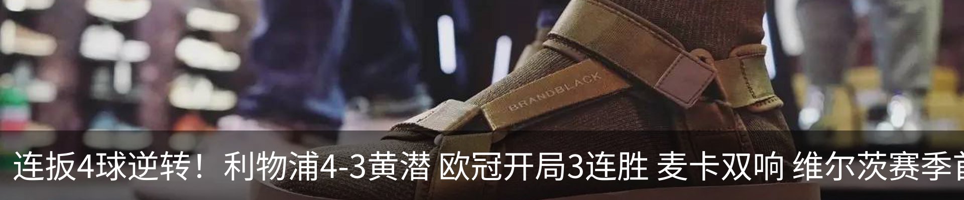 最新动态