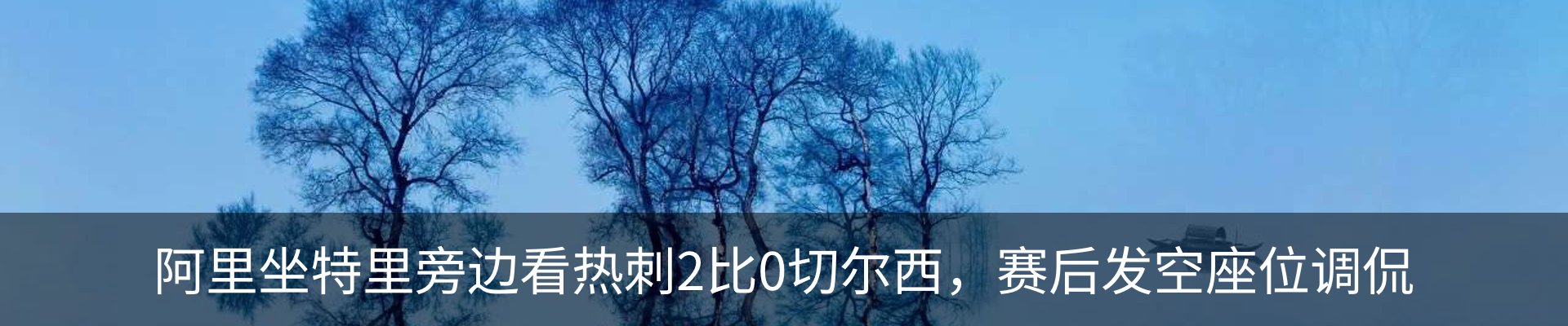 最新动态