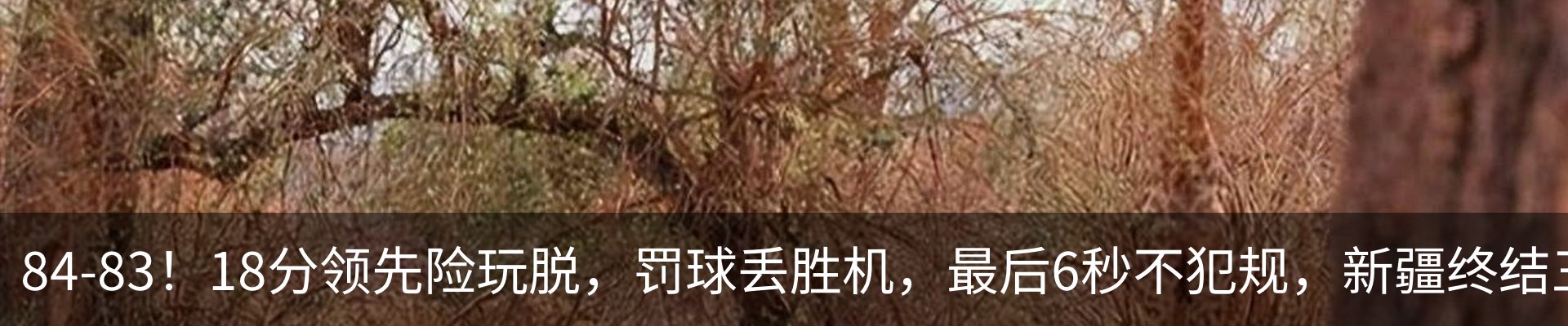 最新动态